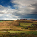 Logie Coldstone farmland.jpg